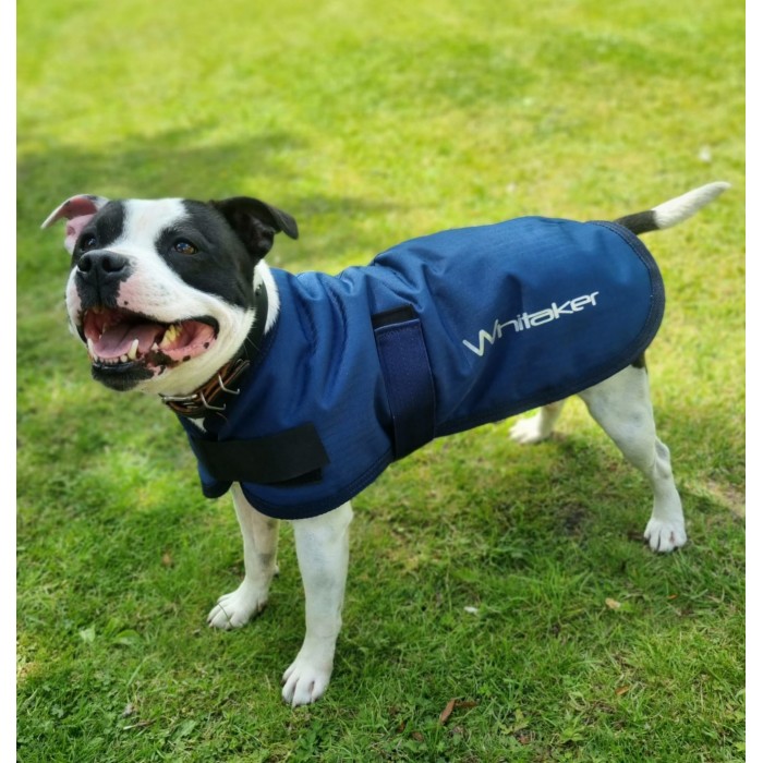 D043 Weir Large Dog Breed Coat in Navy